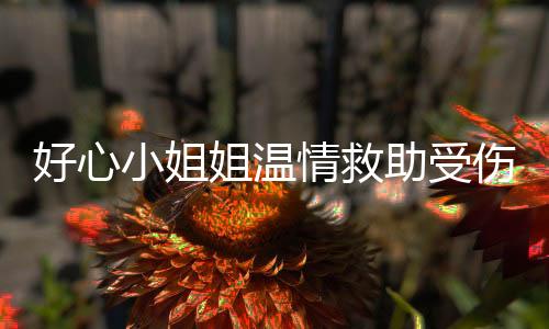 好心小姐姐温情救助受伤外卖小哥