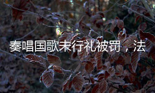 奏唱国歌未行礼被罚，法律意识的觉醒与社会责任的体现