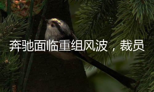 奔驰面临重组风波，裁员15%赔偿N+9政策揭秘