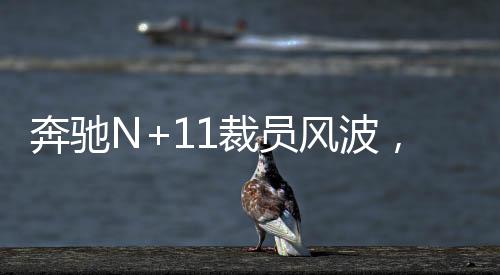 奔驰N+11裁员风波，一场行业内部的深度变革与反思