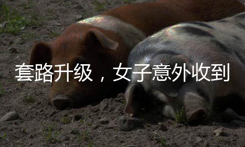 套路升级，女子意外收到骗子五十万元转账，一场充满智慧的博弈揭秘