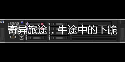 奇异旅途，牛途中的下跪惊呆主人