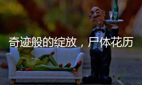 奇迹般的绽放，尸体花历经十五年终盛开