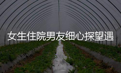 女生住院男友细心探望遇上女方爸爸 见证爱的力量与亲情交织的美好时刻