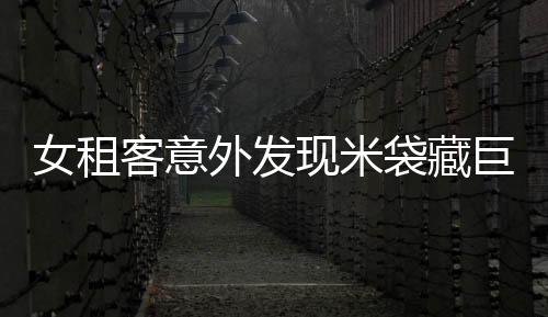 女租客意外发现米袋藏巨款，揭示隐藏财富背后的故事