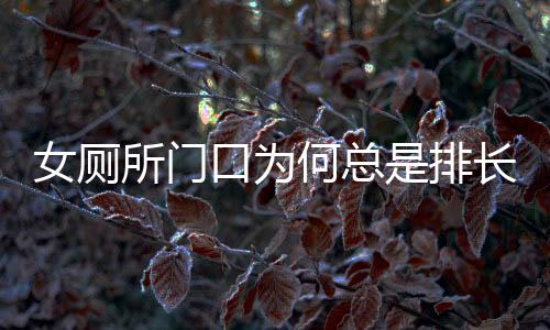 女厕所门口为何总是排长队？背后的真相探寻