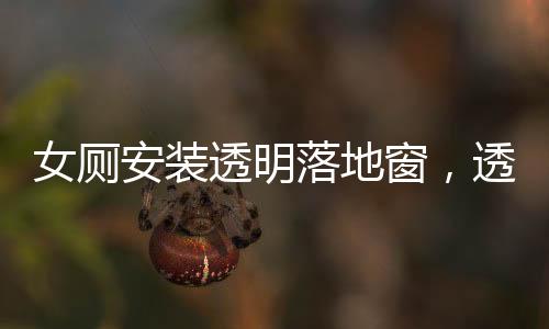 女厕安装透明落地窗，透视安全与隐私的平衡