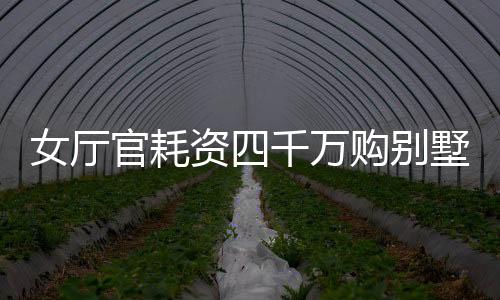 女厅官耗资四千万购别墅，奢华装修费高达八百五十万——揭秘其背后的故事