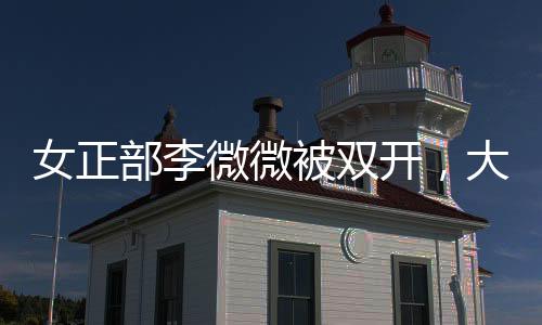 女正部李微微被双开，大搞全家腐