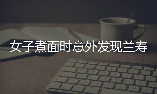 女子煮面时意外发现兰寿金鱼，面条细节引发网友热议——面的奇遇