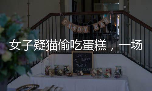 女子疑猫偷吃蛋糕，一场人猫之间的误解引发的深思