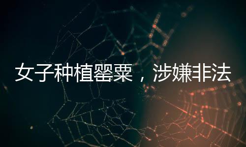 女子种植罂粟，涉嫌非法种植的九百余株隐患解析