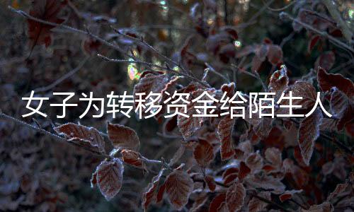 女子为转移资金给陌生人汇款达1.7亿，巨额交易背后的真相