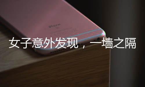 女子意外发现，一墙之隔藏玄机，自家墙壁竟通向隔壁柜子