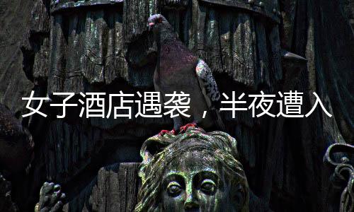 女子酒店遇袭，半夜遭入室猥亵事件揭秘，警方迅速介入调查
