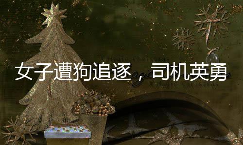 女子遭狗追逐，司机英勇驱赶——善良与勇敢在我们身边