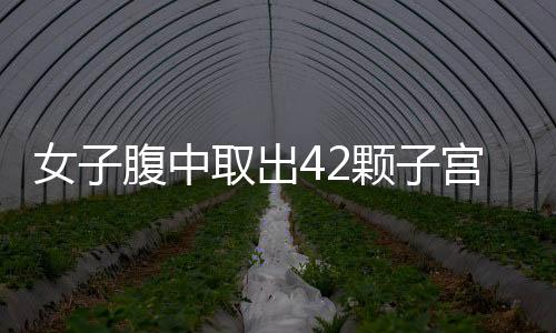 女子腹中取出42颗子宫肌瘤，现代医学的奇迹与女性的健康警示