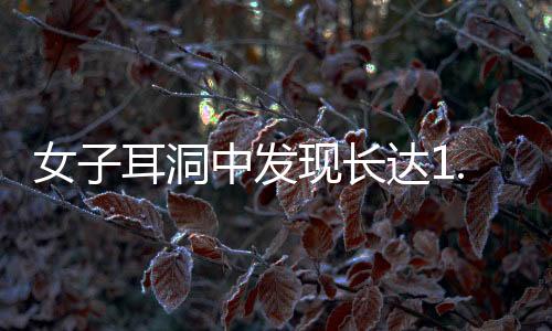 女子耳洞中发现长达1.5厘米的瘤状物，医学界正对其进行研究探讨
