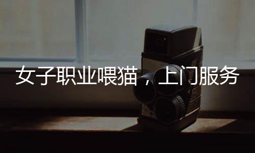 女子职业喂猫，上门服务一次百元，一天走访二十家