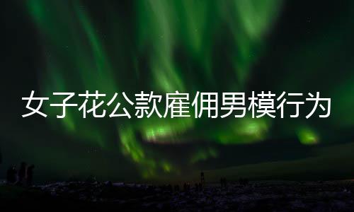 女子花公款雇佣男模行为揭秘，情感消费背后的代价与社会警示