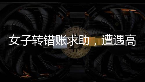 女子转错账求助，遭遇高额感谢费争议——事件深度解析