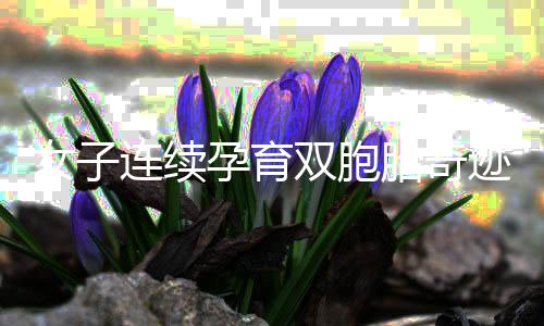 女子连续孕育双胞胎奇迹，四个月再迎新生儿诞生！