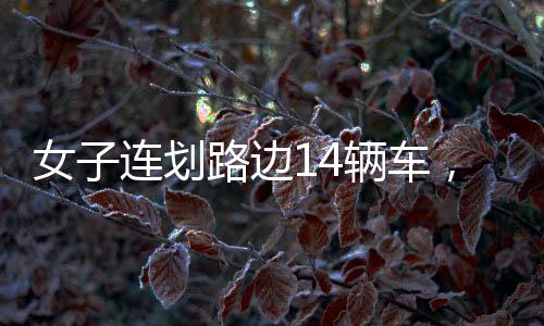 女子连划路边14辆车，冲动行为背后的故事
