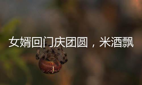 女婿回门庆团圆，米酒飘香吹风夜，温馨一幕被抬进屋