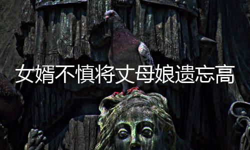 女婿不慎将丈母娘遗忘高速，紧急救援与温馨提醒