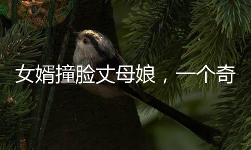 女婿撞脸丈母娘，一个奇特的现象观察与深度解析