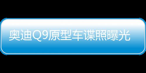 奥迪Q9原型车谍照曝光，全新旗舰SUV震撼亮相