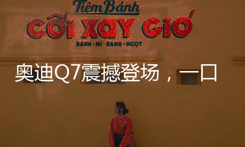 奥迪Q7震撼登场，一口价45.99万起，豪华SUV新选择