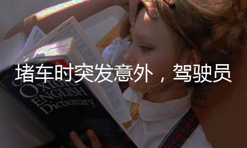 堵车时突发意外，驾驶员与大鹅发生冲突