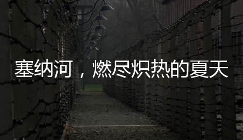塞纳河，燃尽炽热的夏天
