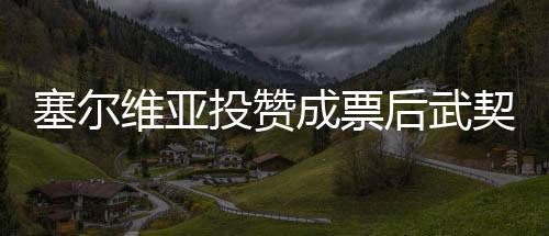 塞尔维亚投赞成票后武契奇道歉，背后的故事与解析