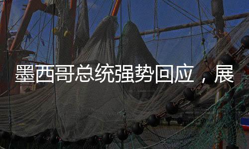 墨西哥总统强势回应，展现坚定立场与积极姿态