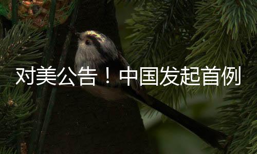 对美公告！中国发起首例反规避调查，全球贸易格局面临新的挑战