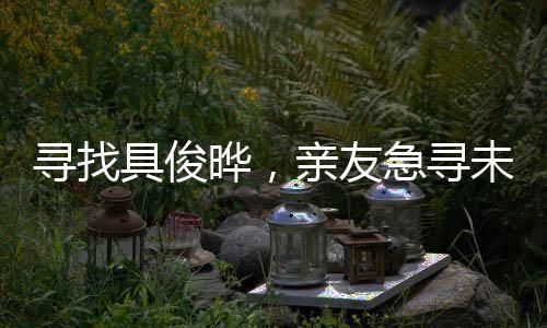 寻找具俊晔，亲友急寻未果的背后故事