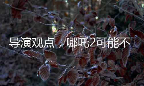 导演观点，哪吒2可能不符合北美观众调性