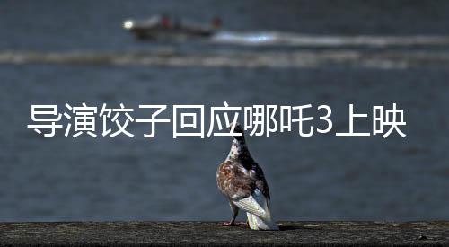 导演饺子回应哪吒3上映时间，最新动态解读一二三四五六七八九十