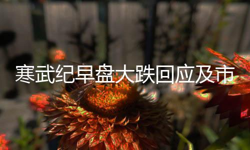 寒武纪早盘大跌回应及市场观察