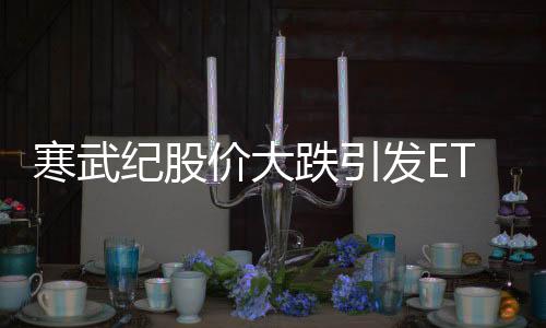 寒武纪股价大跌引发ETF产品争议