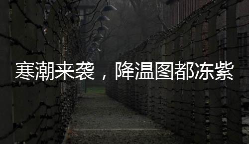 寒潮来袭，降温图都冻紫了——天气预警与应对指南