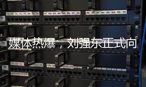 媒体热爆，刘强东正式向美团宣战！一场商业巨头的竞争蓄势待发！且看双方如何博弈。接下来将从十个方面深入探讨这场商业风暴的源头和趋势。以下为详细内容。