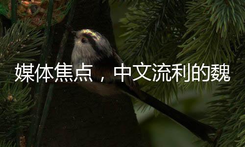 媒体焦点，中文流利的魏德尔抢尽风头