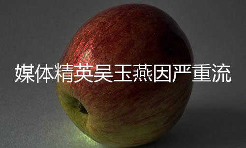 媒体精英吴玉燕因严重流感离世，各界痛悼一颗闪耀星的陨落