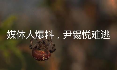 媒体人爆料，尹锡悦难逃牢狱之灾