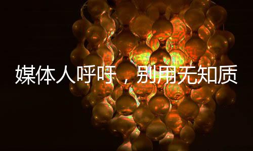 媒体人呼吁，别用无知质疑张志磊打假拳