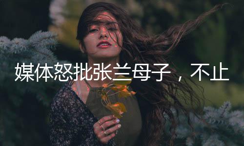 媒体怒批张兰母子，不止大S被伤害