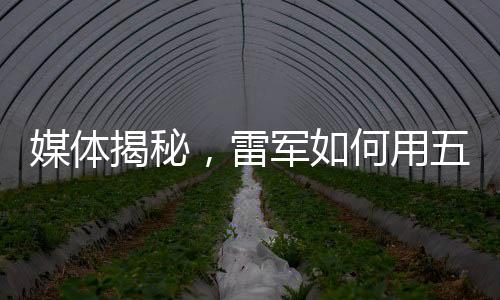 媒体揭秘，雷军如何用五十万创造出超值的感受——一场智能时代的价值魔法